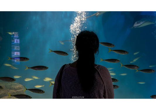 SOULFILM PHOTO 2025